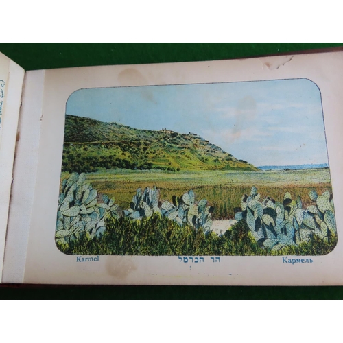 269 - Judaica Walnutbound Views of Jerusalem with Various Plants etc Some Drawings Contained within