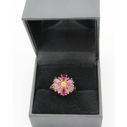 326 - Garnet and Further Gemset Floral Cluster Ring Hallmarks 2005 Mounted on 9 Carat Gold Band Ring Size ... 