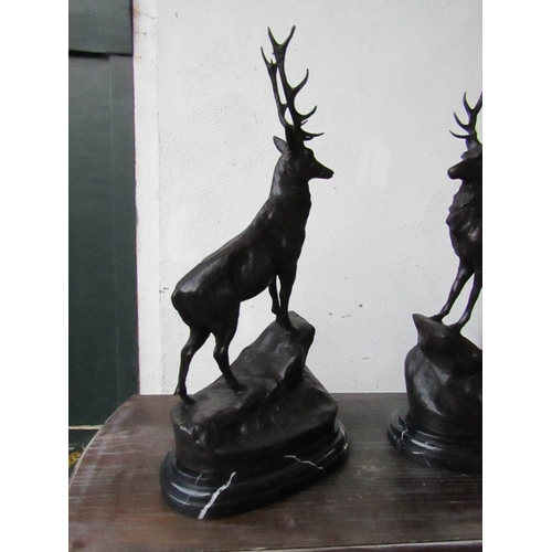 421 - Large Pair of Bronze Sculptures Stags Ten Points to Antlers on Naturalistic Form Bases Resting On Or... 