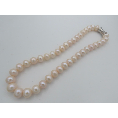 467 - String of Ladies Pearls Good Size with Barrel Clasp