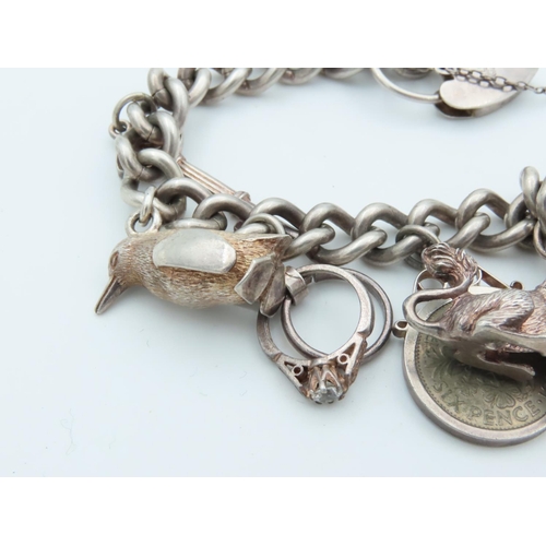 499 - Solid Silver Ladies Charm Bracelet with Safety Clasp