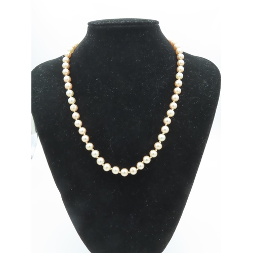 521 - Ladies Pearl Necklace 9 Carat Gold Clasp Contained within Presentation Case