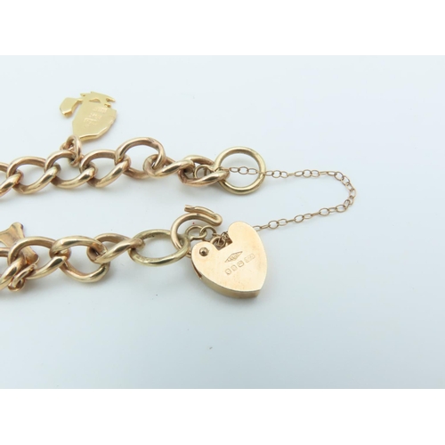 552 - 9 Carat Yellow Gold Charm Bracelet