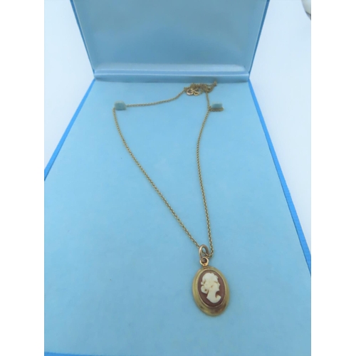 570 - Cameo Set Ladies 9 Carat Gold Pendant Necklace