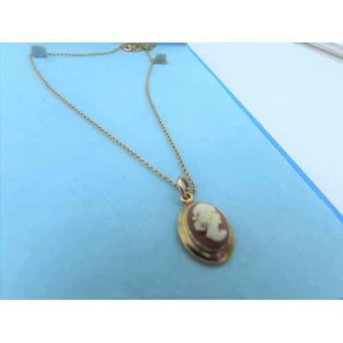 570 - Cameo Set Ladies 9 Carat Gold Pendant Necklace