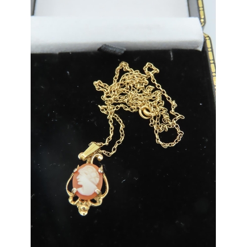 573 - Cameo Set Ladies 9 Carat Gold Pendant Necklace Set on 9 Carat Gold Chain