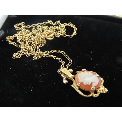 573 - Cameo Set Ladies 9 Carat Gold Pendant Necklace Set on 9 Carat Gold Chain