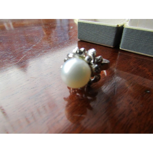 630 - Pearl Set 18 Carat White Gold Ring Size M Pearl of Good Lustre