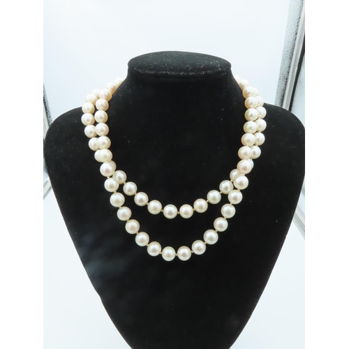 660 - Attractive Double Strand of Ladies Pearls Good Hue and Lustre with 14 Carat Gold and Diamond Set Rub... 