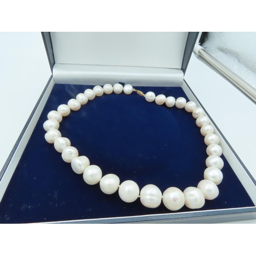 676 - Ladies Pearl Necklace of Good Size Attractive Lustre 14 Carat Gold Clasp