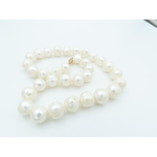 676 - Ladies Pearl Necklace of Good Size Attractive Lustre 14 Carat Gold Clasp