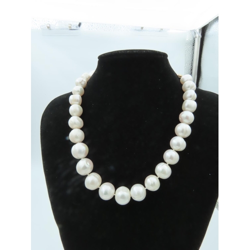 676 - Ladies Pearl Necklace of Good Size Attractive Lustre 14 Carat Gold Clasp