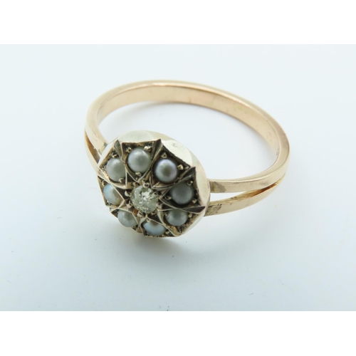 775 - Ladies Sea Pearl Cluster Ring Mounted on 9 Carat Yellow Gold Duet Band Ring Size M and a Half