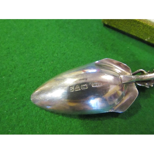 804 - Scottish Solid Silver Commemorative Spoon with Thistle Motif. Spoon Approximately 7 Inches Long Cont... 