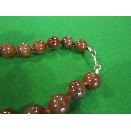 810 - Ladies Carved Agate Bead Necklace Restrung with Clasp