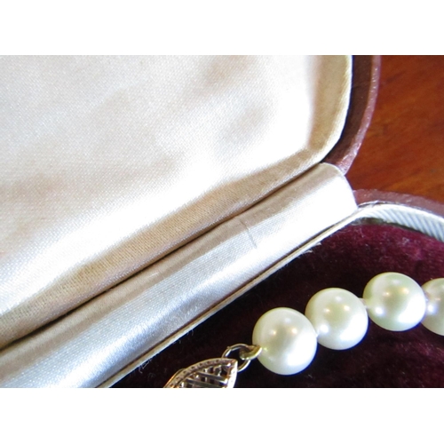 884 - Ladies Pearl Bracelet with 14 Carat Gold Clasp Attractive Colour