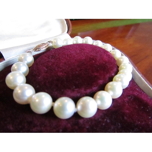 884 - Ladies Pearl Bracelet with 14 Carat Gold Clasp Attractive Colour