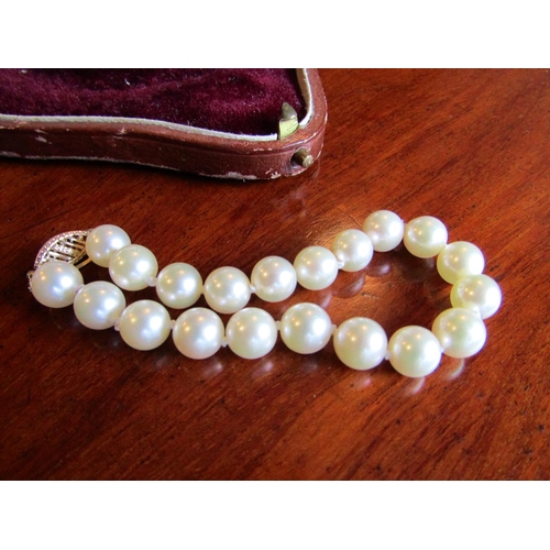 884 - Ladies Pearl Bracelet with 14 Carat Gold Clasp Attractive Colour