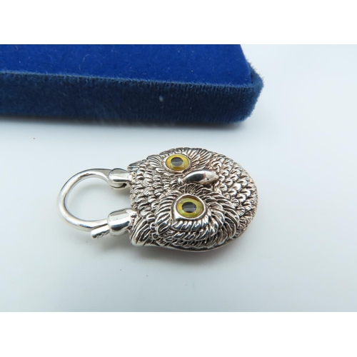 959 - Silver Owl and Agate Decorated Padlock Pendant