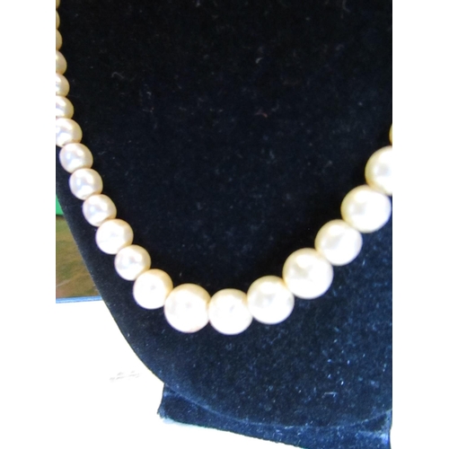 981 - Twin Strand Ladies Pearl Necklace Graduated Form and Another Single Strand