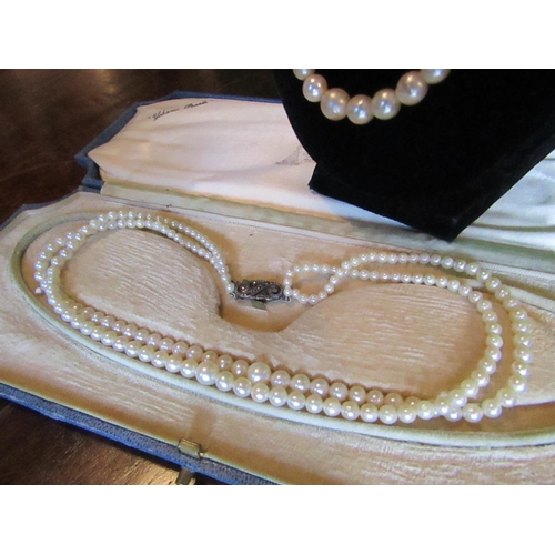 981 - Twin Strand Ladies Pearl Necklace Graduated Form and Another Single Strand