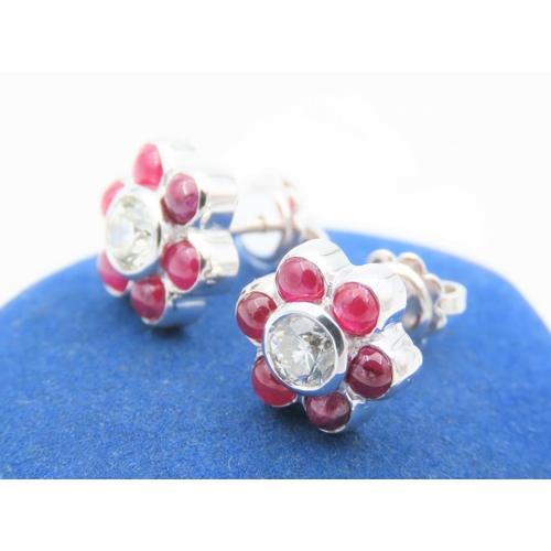 147 - Pair of 18 Carat White Gold Ruby and Diamond Cluster Earrings Total Diamond Weight Approximately 1 C... 