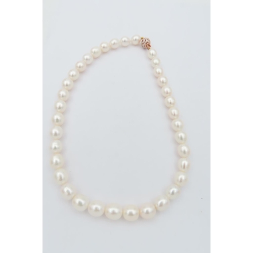 276 - Single Strand Pearl Necklace Attractive Hue with Diamond Decorated 18 Carat Yellow Gold Ball Clasp N... 