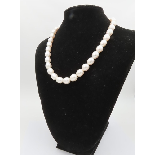 276 - Single Strand Pearl Necklace Attractive Hue with Diamond Decorated 18 Carat Yellow Gold Ball Clasp N... 