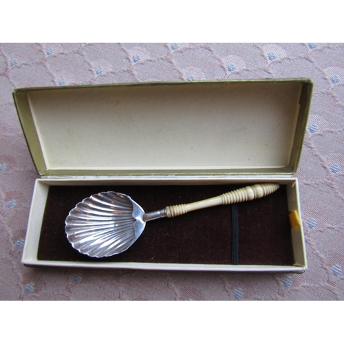 484 - Solid Silver Scallop Form Spoon with Turned Handle Approximately 5 Inches High