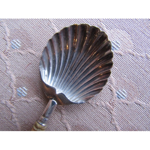 484 - Solid Silver Scallop Form Spoon with Turned Handle Approximately 5 Inches High