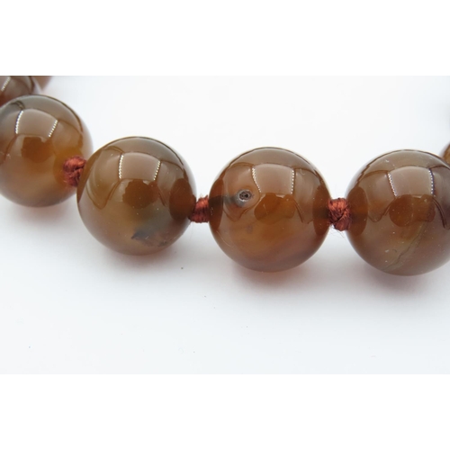 522 - Ladies Carved Agate Bead Necklace Recently Restrung Attractive Colour with Hinge Clasp