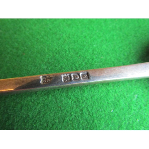 664 - Edwardian Seal Top Spoon Hallmark London Dated 1905 Approximately 8 Inches Long