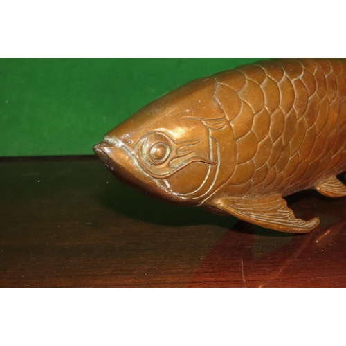 1176 - Unusual Bronze Sculpture of Koi Fish Approximately 16 Inches Wide Attractively Detailed