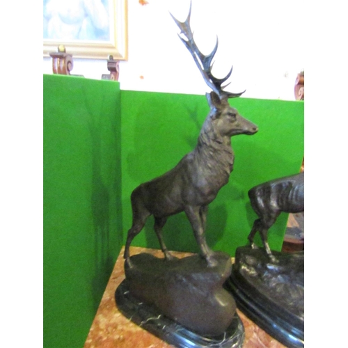 129 - Pair of Bronze Sculptures Stags Resting on Original Shaped Form Marble Bases Each Approximately 28 I... 