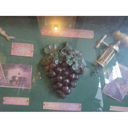 816 - Glazed Cased Cabinet Concerning Viniculture Approximately 4ft Wide