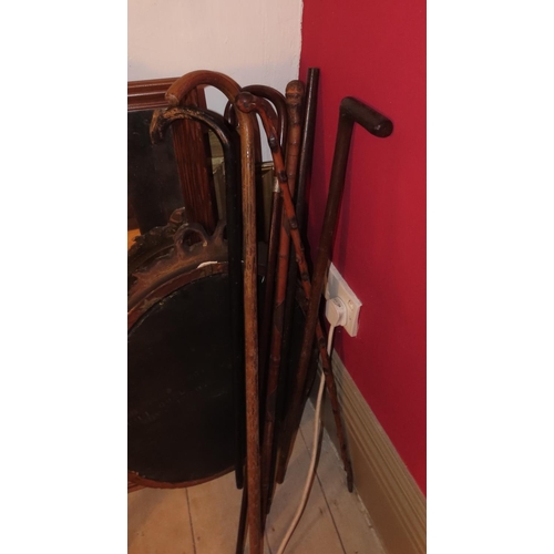 851 - Various Walking Sticks Some Silver Mounted