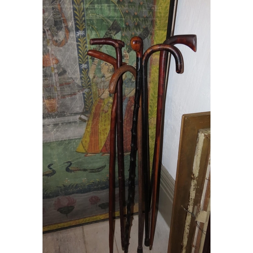 853 - Collection of Various Walking Sticks