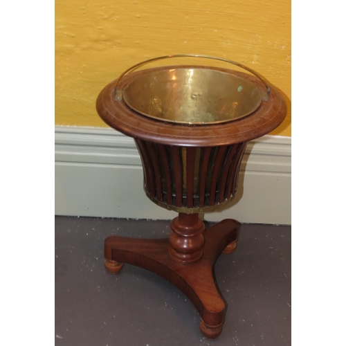 898 - Regency Mahogany Stand Shaped Form with Original Brass Liner Good Original Condition, Approximately ... 