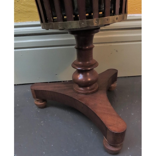 898 - Regency Mahogany Stand Shaped Form with Original Brass Liner Good Original Condition, Approximately ... 