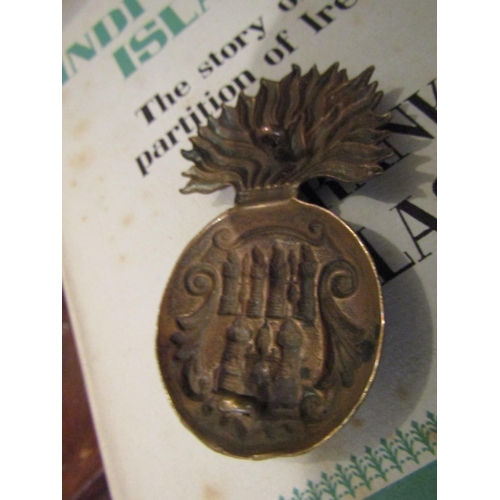 984 - Victorian Brass Royal Dublin Fusiliers Badge