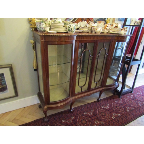 32 - Antique Mahogany Twin Bow Front Display Cabinet Attractive Form on Claw and Ball Carved Supports wit... 