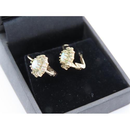 14 - Pair of Opal Set Diamond Cluster Earrings Mounted on 9 Carat Yellow Gold