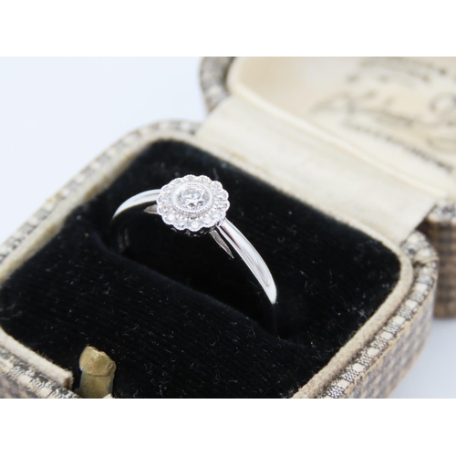 184 - Pave Set Ladies Diamond Ring Mounted on 18 Carat White Gold Band Ring Size M and a Half