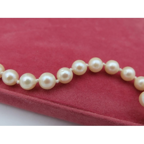 19 - Ladies Pearl Necklace with 9 Carat Gold Clasp