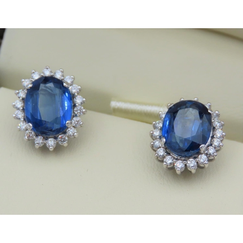 212 - Pair of Oval Cut Diamond and Sapphire Ladies Cluster Earrings Diamonds Approximately 0.8 Carats Sapp... 