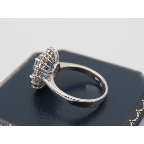 231 - Sapphire and Diamond Ladies Cluster Ring Mounted on 18 Carat White Gold Band Sapphire Approximately ... 