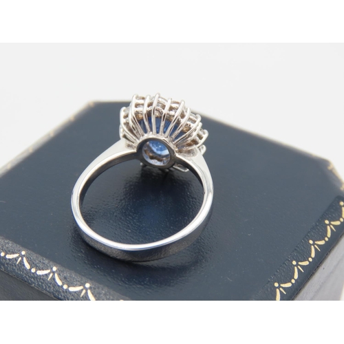 231 - Sapphire and Diamond Ladies Cluster Ring Mounted on 18 Carat White Gold Band Sapphire Approximately ... 