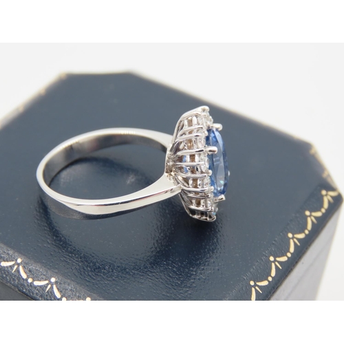 231 - Sapphire and Diamond Ladies Cluster Ring Mounted on 18 Carat White Gold Band Sapphire Approximately ... 