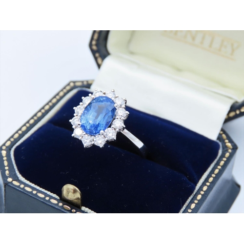 231 - Sapphire and Diamond Ladies Cluster Ring Mounted on 18 Carat White Gold Band Sapphire Approximately ... 