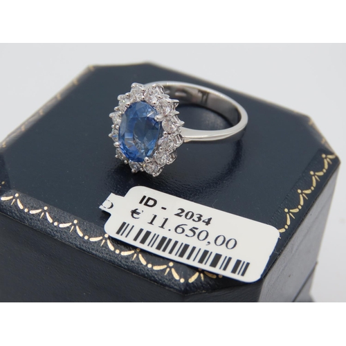 231 - Sapphire and Diamond Ladies Cluster Ring Mounted on 18 Carat White Gold Band Sapphire Approximately ... 